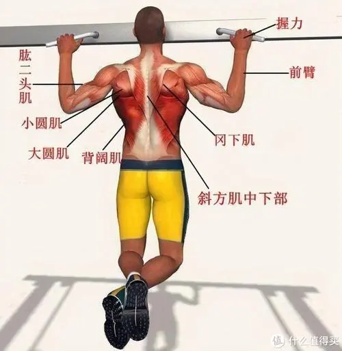 1000平米新中式园林景观设计